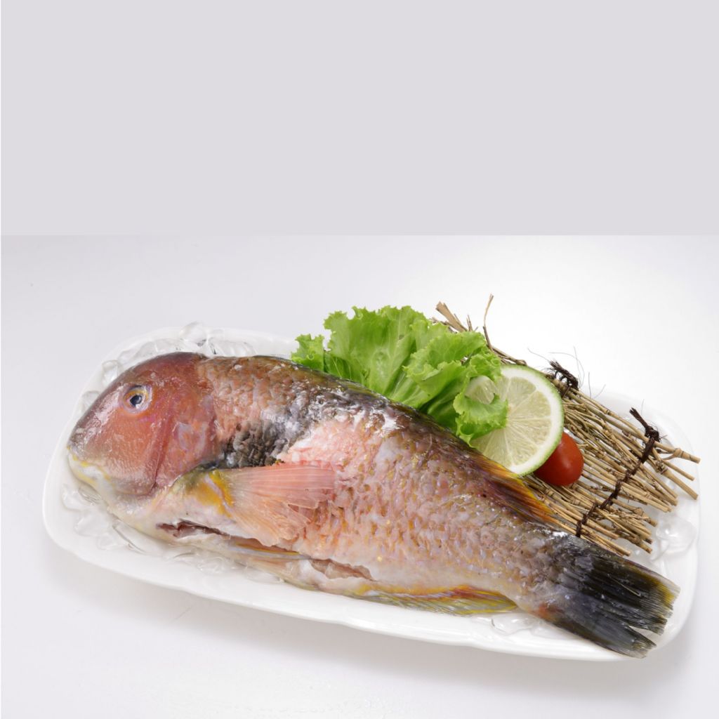 鰱仔魚,澎湖黑水溝ㄟ鮮,(一日乾)天然海味,(一日乾)海貨,(一日乾)海味,(一日乾)海鮮烤物,(一日乾)烤物